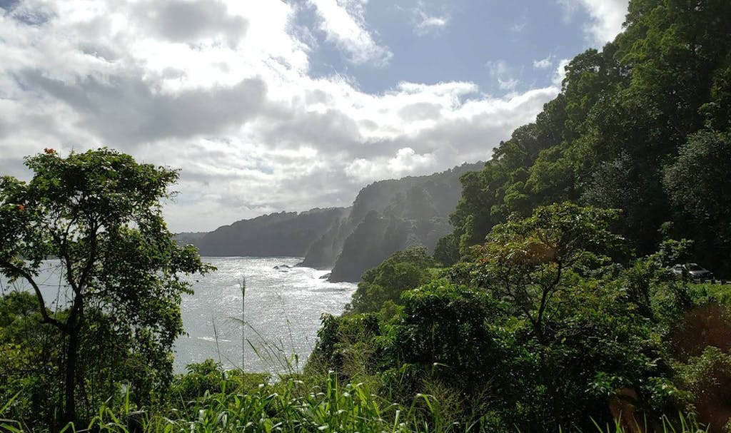 view htm