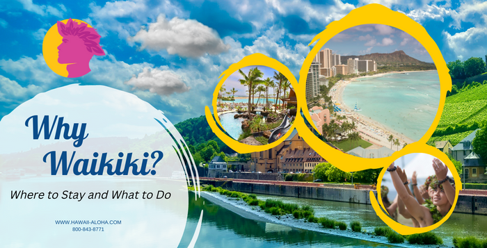why-waikiki why-waikiki