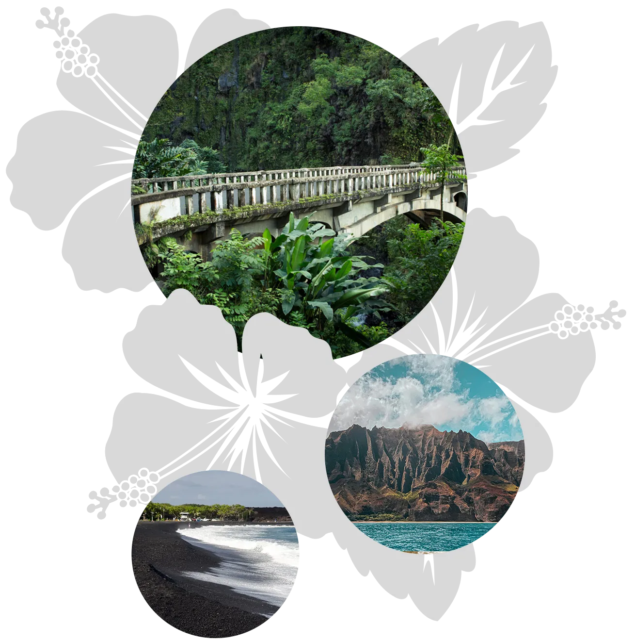 4-islands-features 4-islands-features