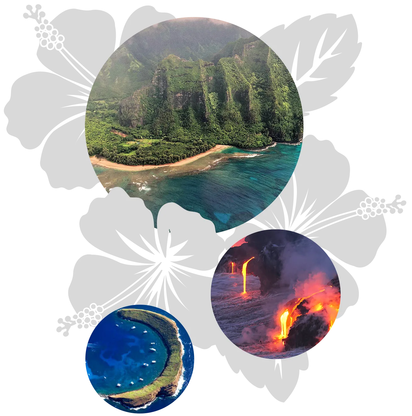 hawaii-all2 hawaii-all2