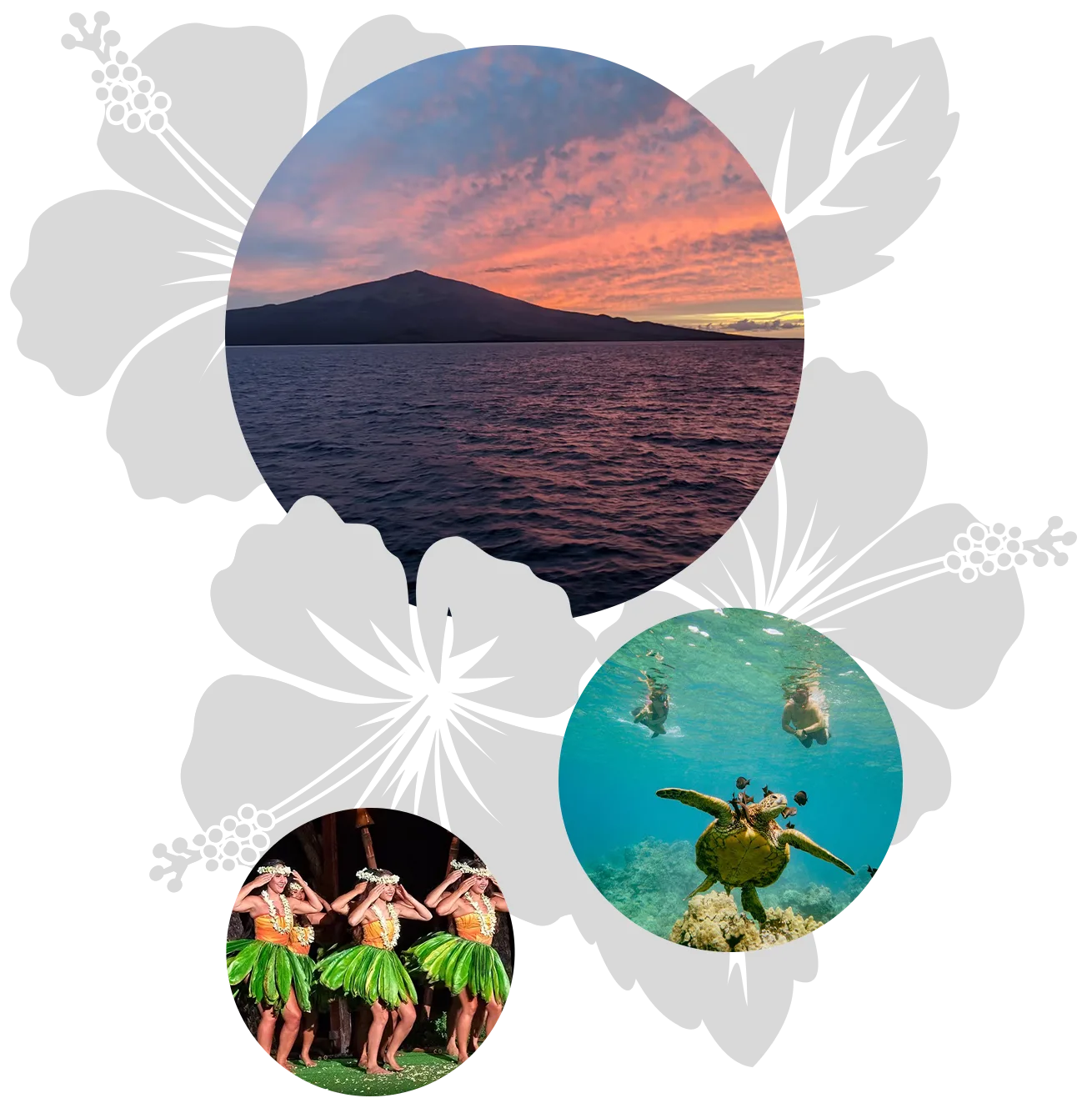 maui-teen-feat