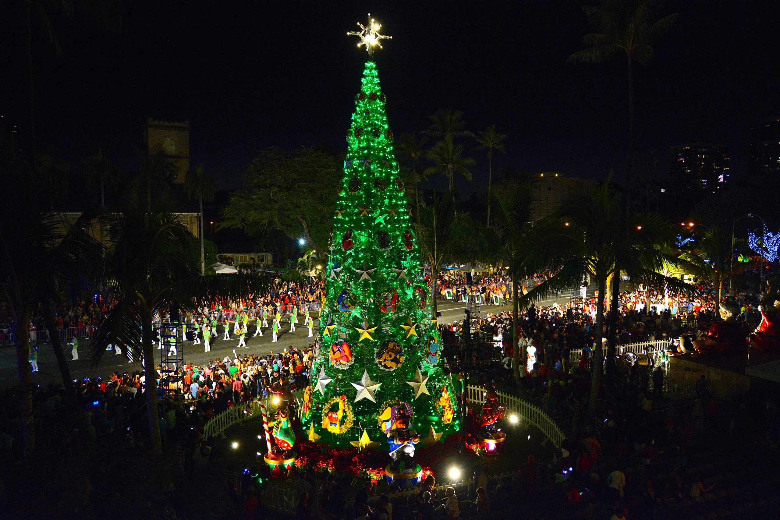 Christmas-Tree-Hon-Hale-scaled