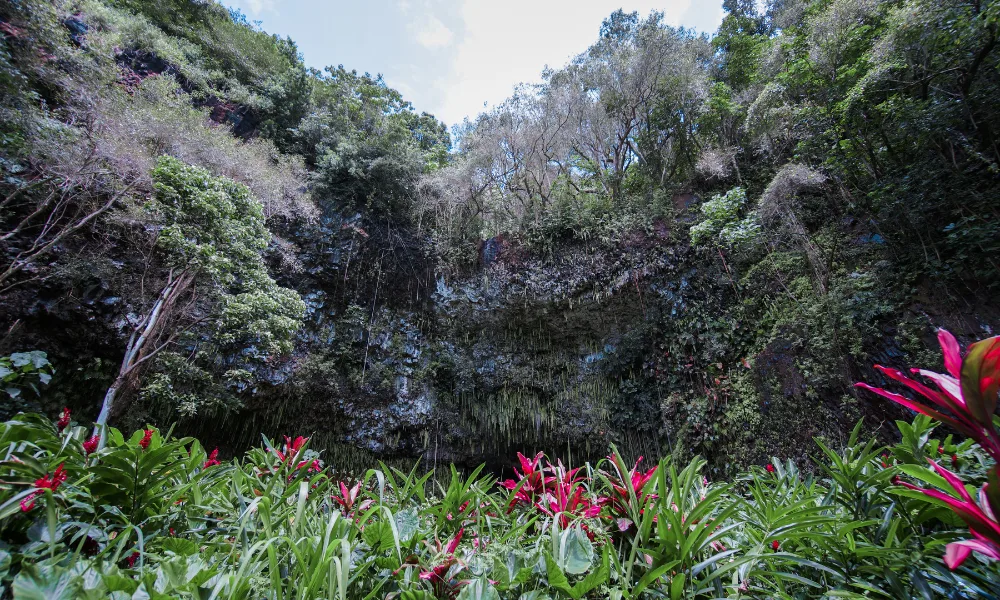 Fern-grotto-kauai