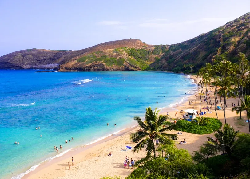 Hanauma Bay Oahu beach reading