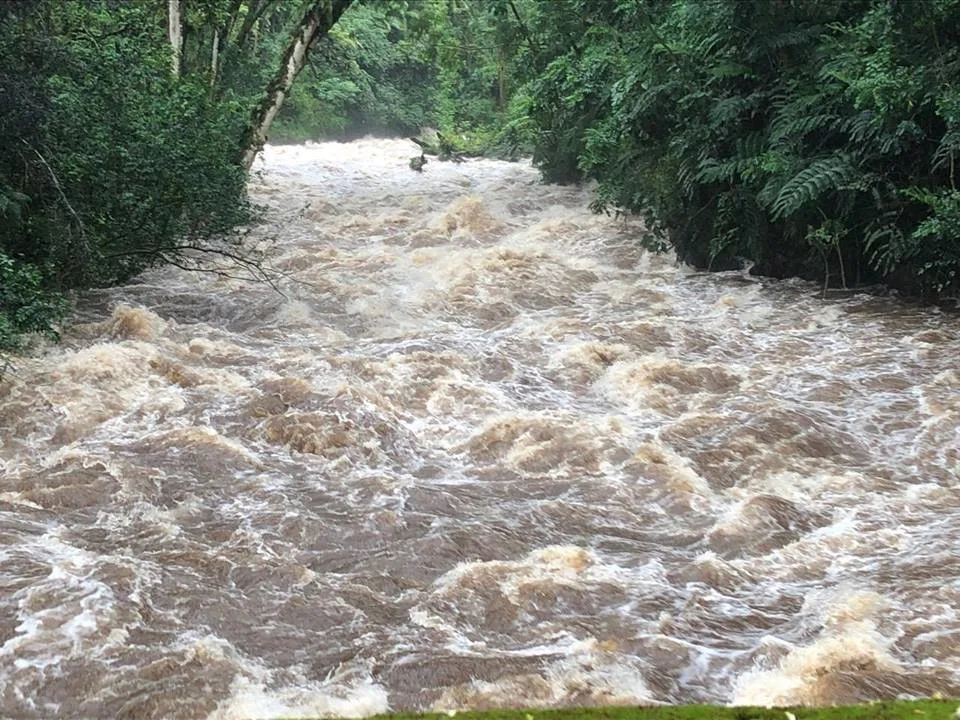 Hawaii Hurricane Lane Hilo 