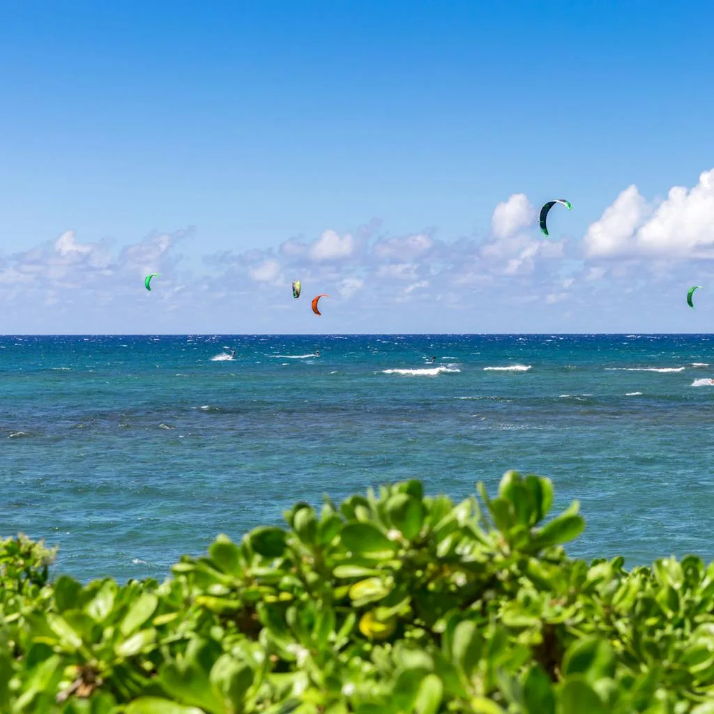 Kite-Surfers-at-Mokuleia-Beach
