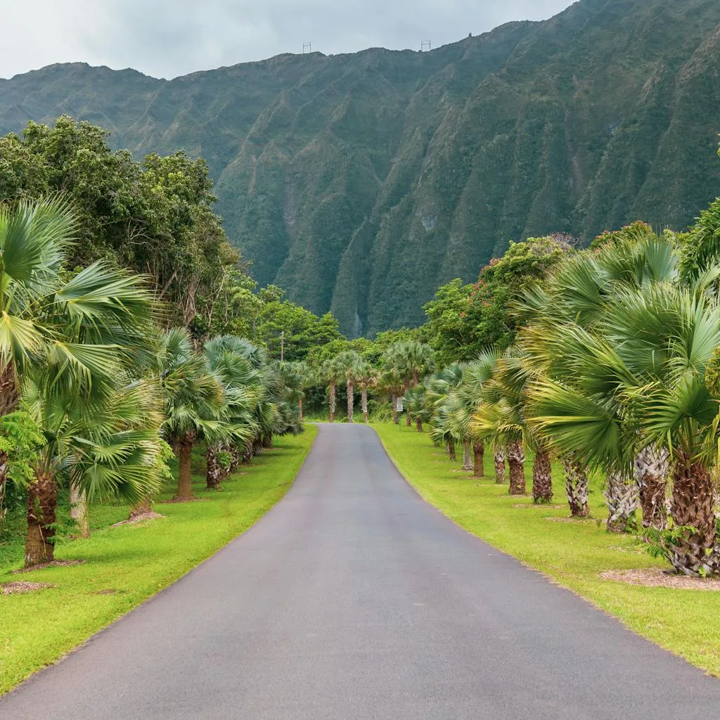 Oahu botanical garden
