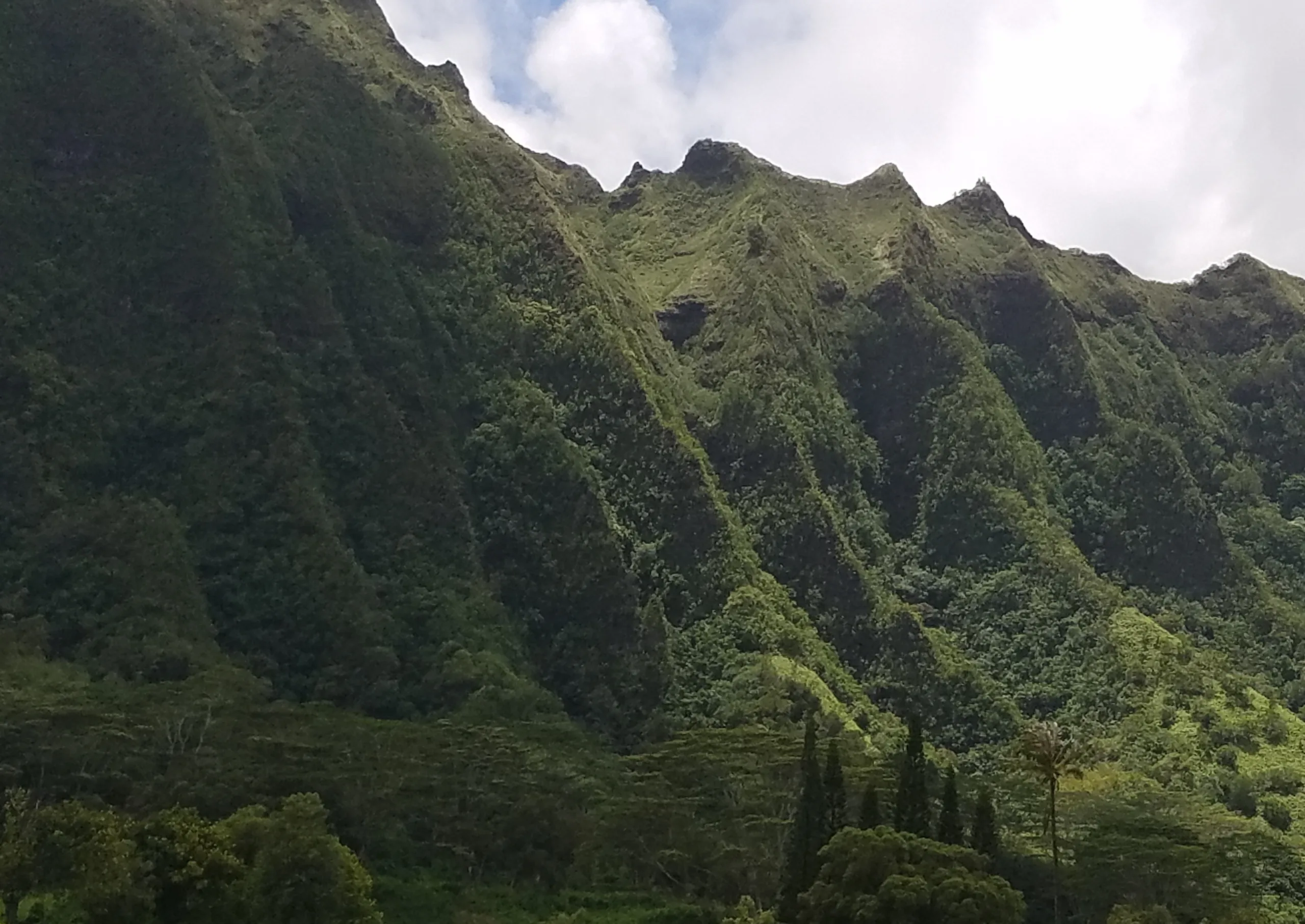 Mountains-1