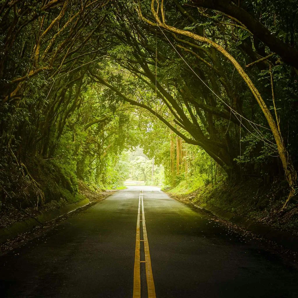 Nuuanu-Pali-Drive