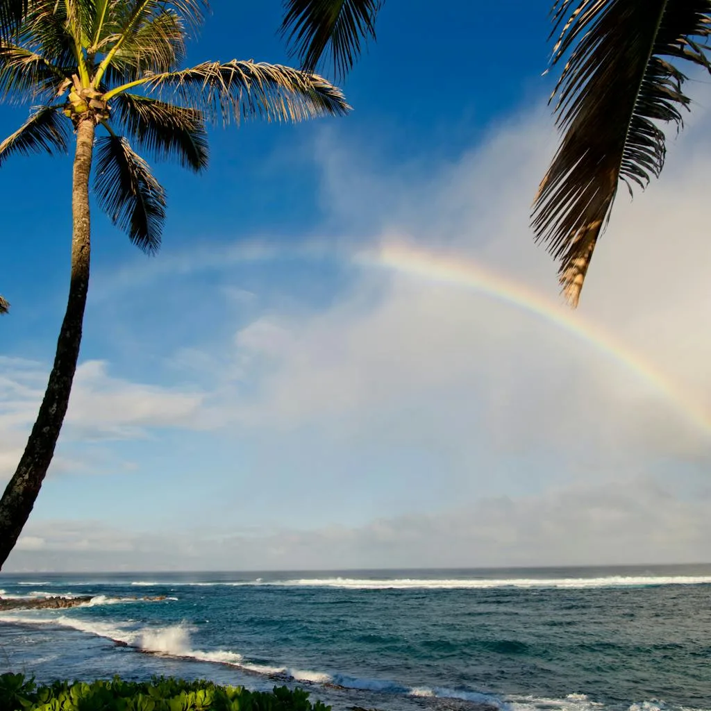 Rainbow after Hawaii rain on Maui