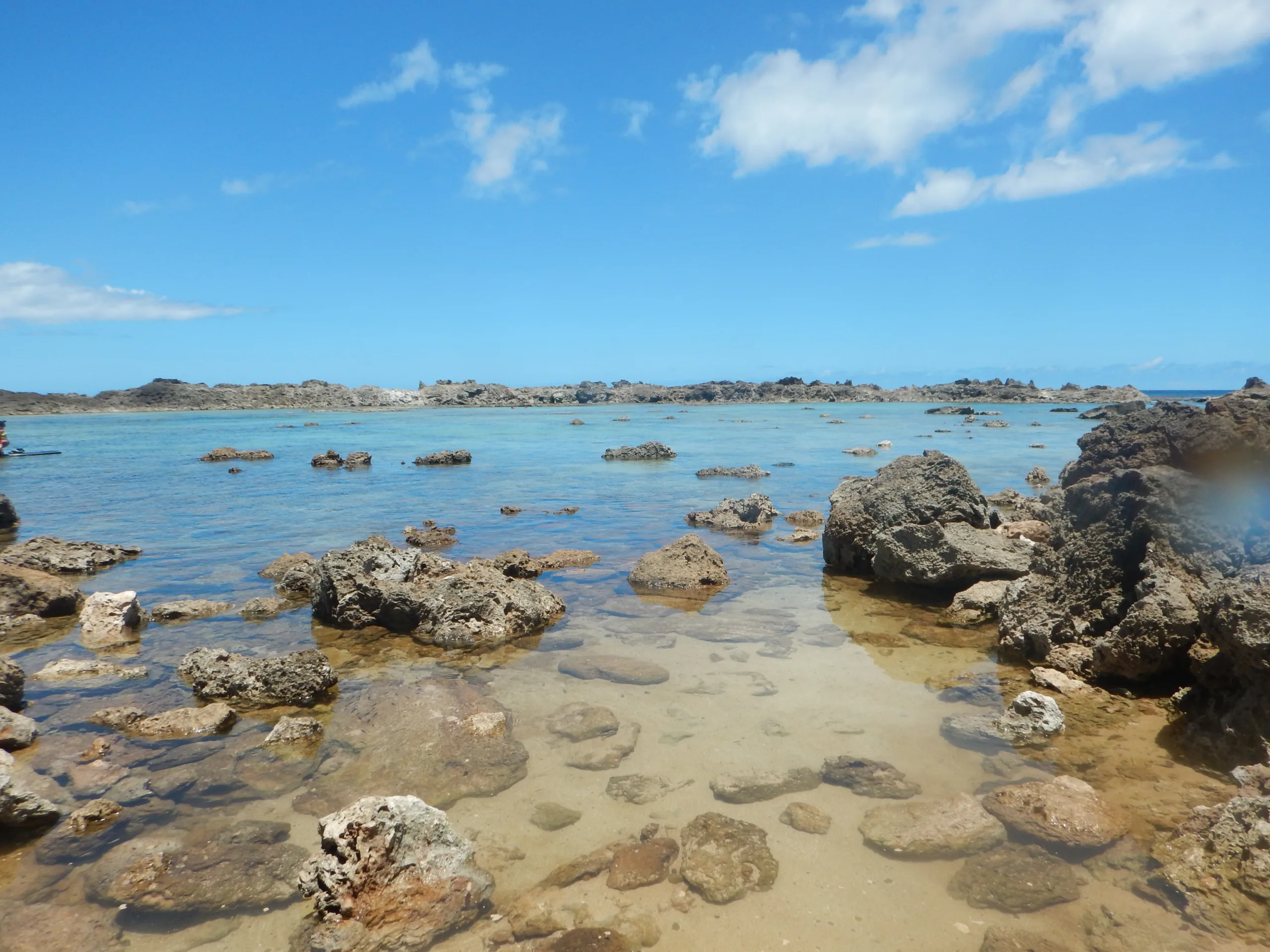 Sharks-Cove-1-of-3 Sharks-Cove-1-of-3