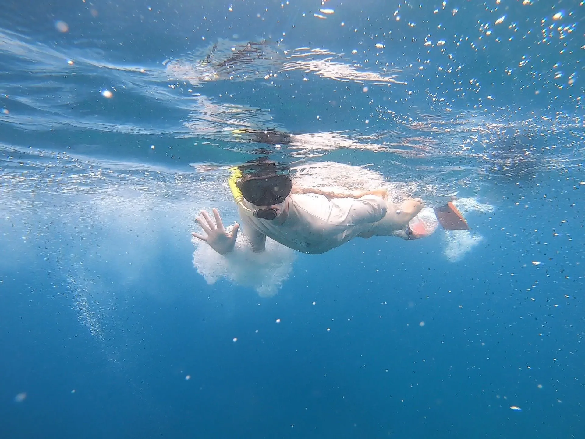 Guided Oahu snorkeling tour 