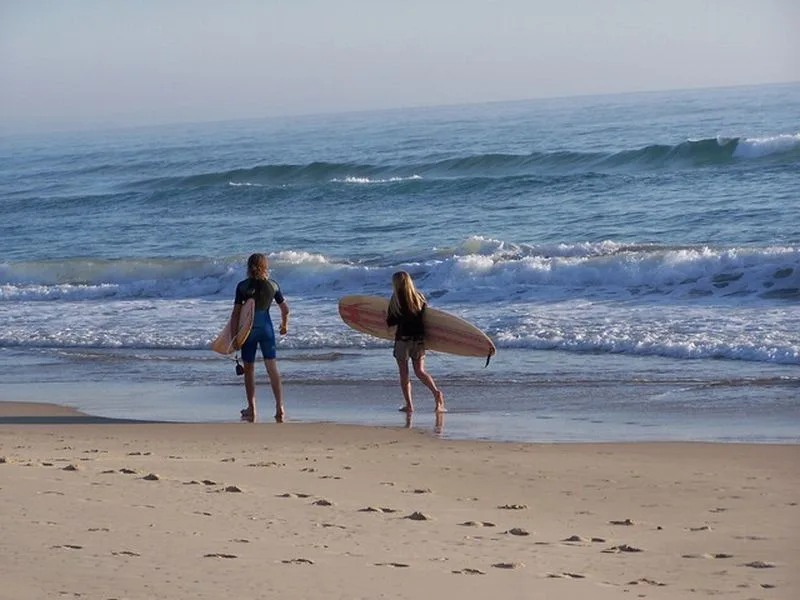 Surfing Surfing