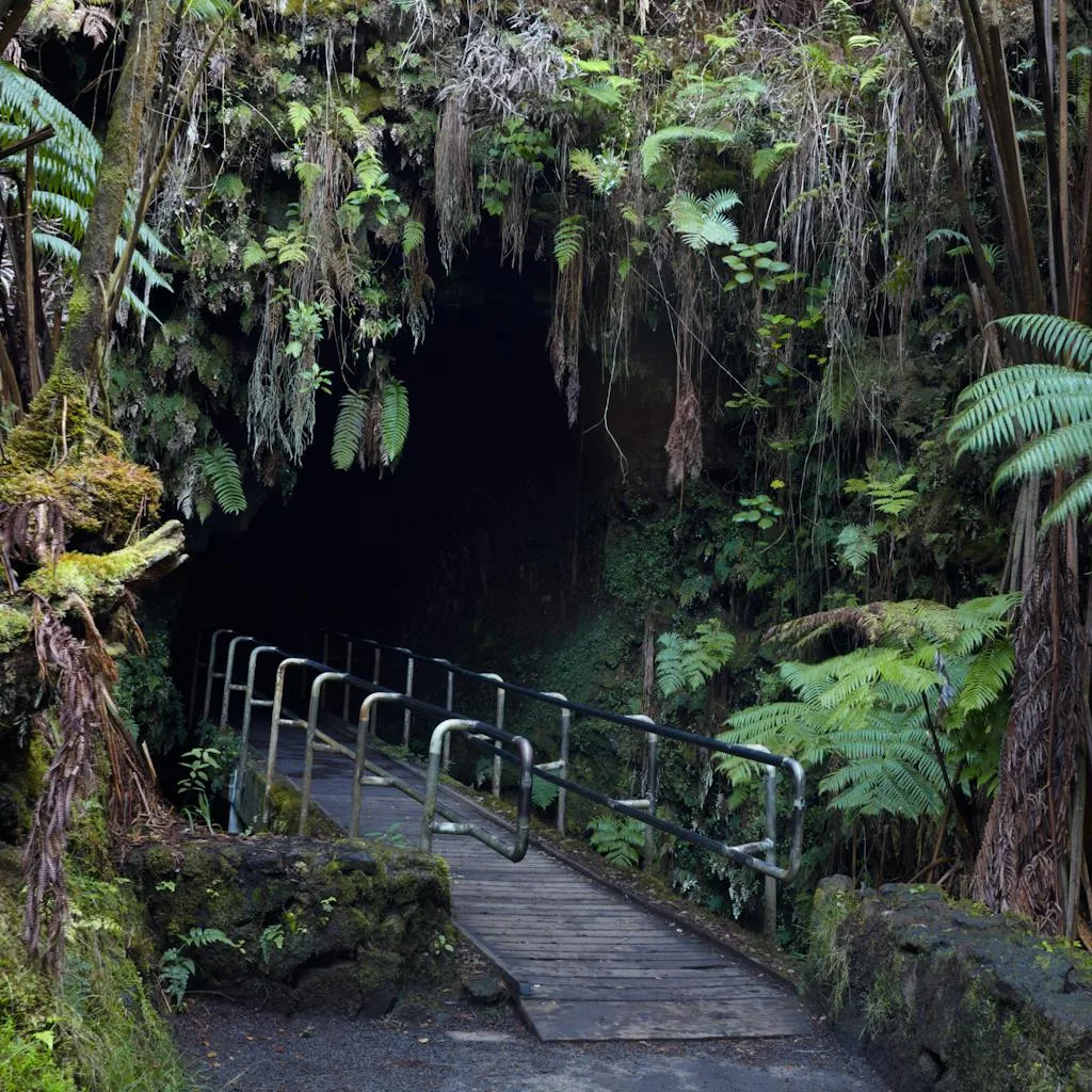 Thurston Lava Tube