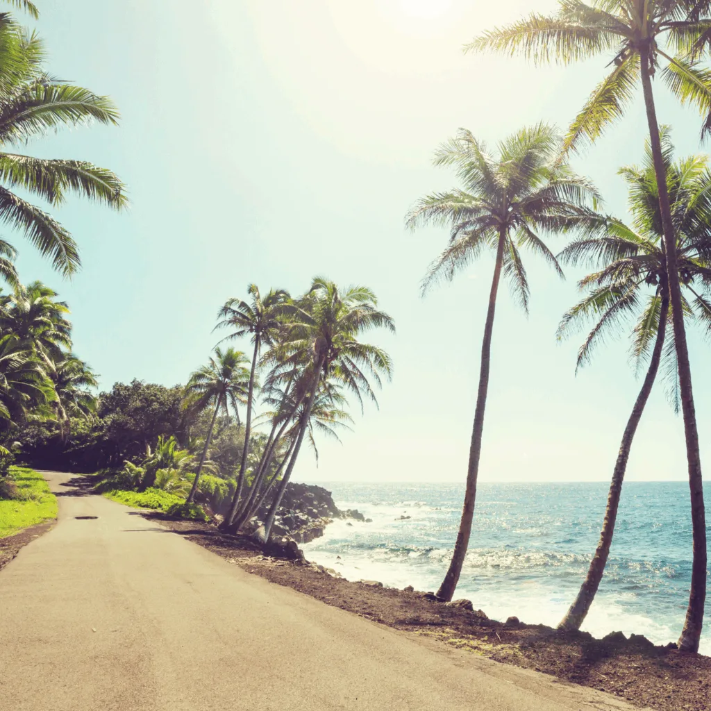 Explore kona and beyond during a Big Island Hawaii road trip