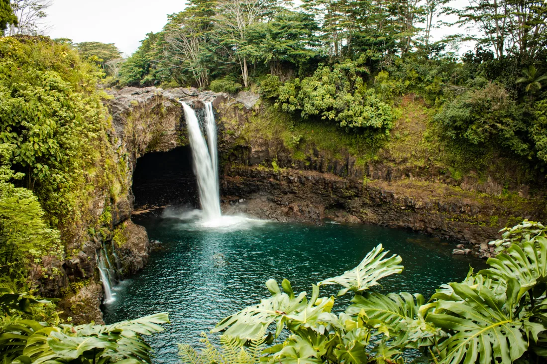 One of the best things about Hilo is its abundance of waterfalls. With the region's consistent rainfall, these waterfalls stay active all year, creating some of the island’s most stunning views.