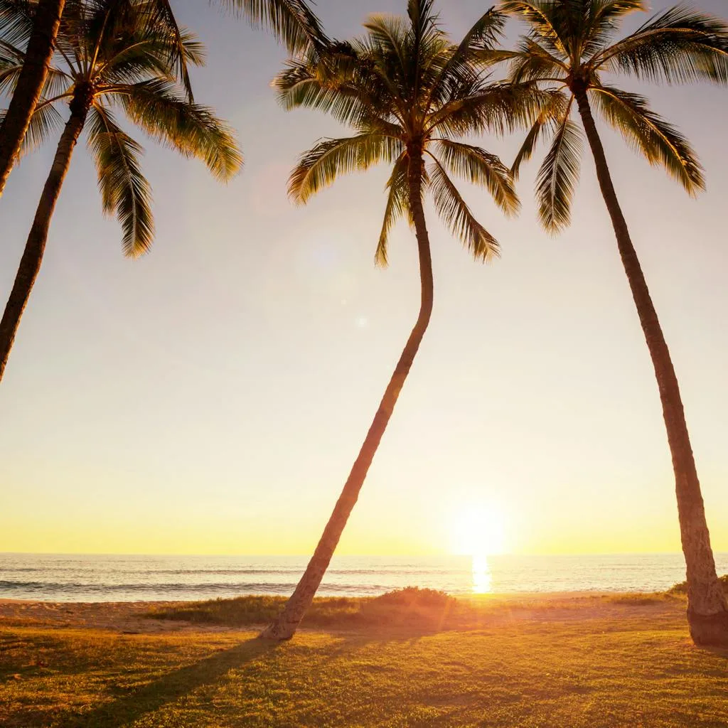 best time to visit hawaii to avoid crowds (1)
