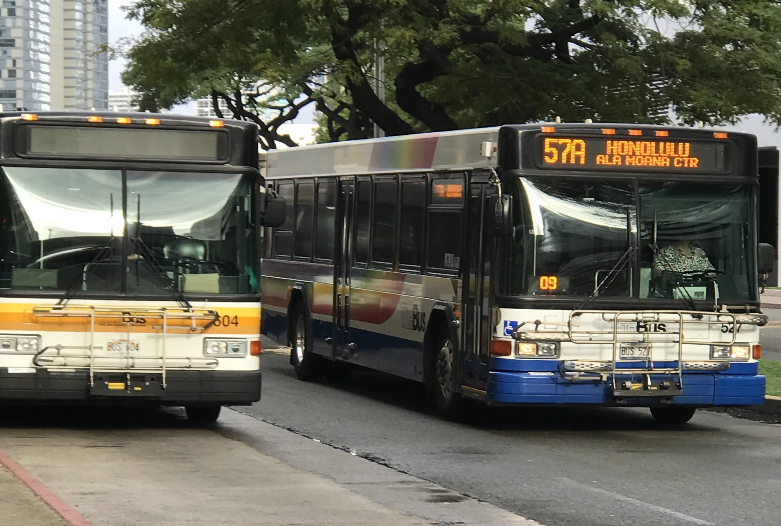 bus-bus bus-bus