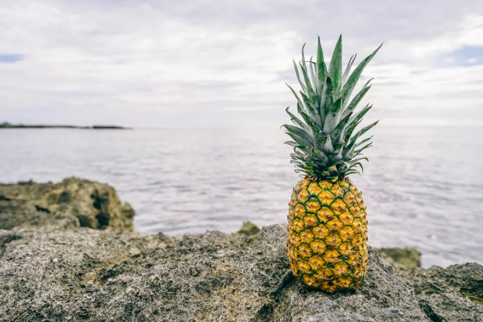 Hilo’s food scene is laid-back, local, and full of fresh island flavors. Whether you want fresh poke, classic Hawaiian plate lunches, or a decadent dessert, Hilo has it all.