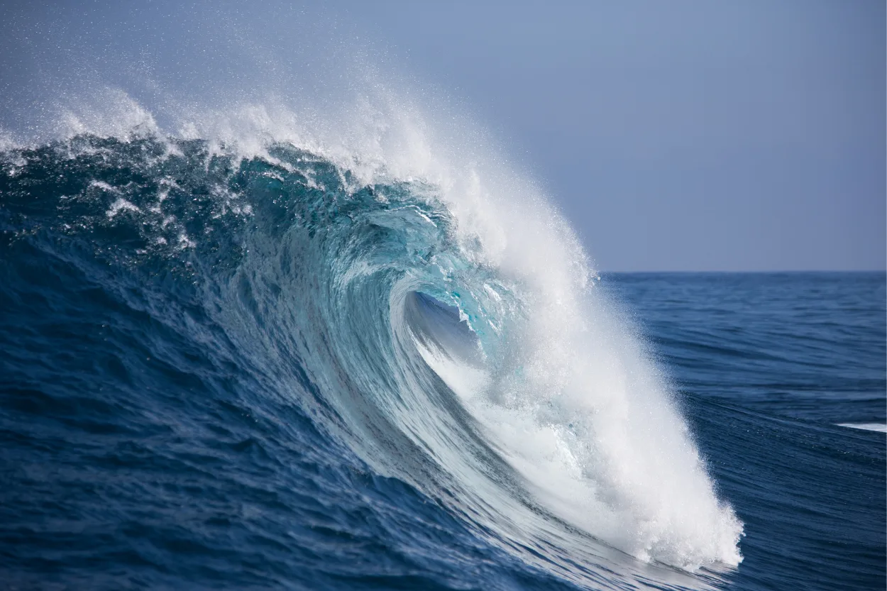 jaws-hawaii