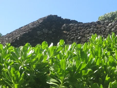 manoa-heritage-center
