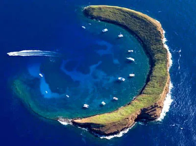 molokini crater is one of the best snorkeling places in Hawaii