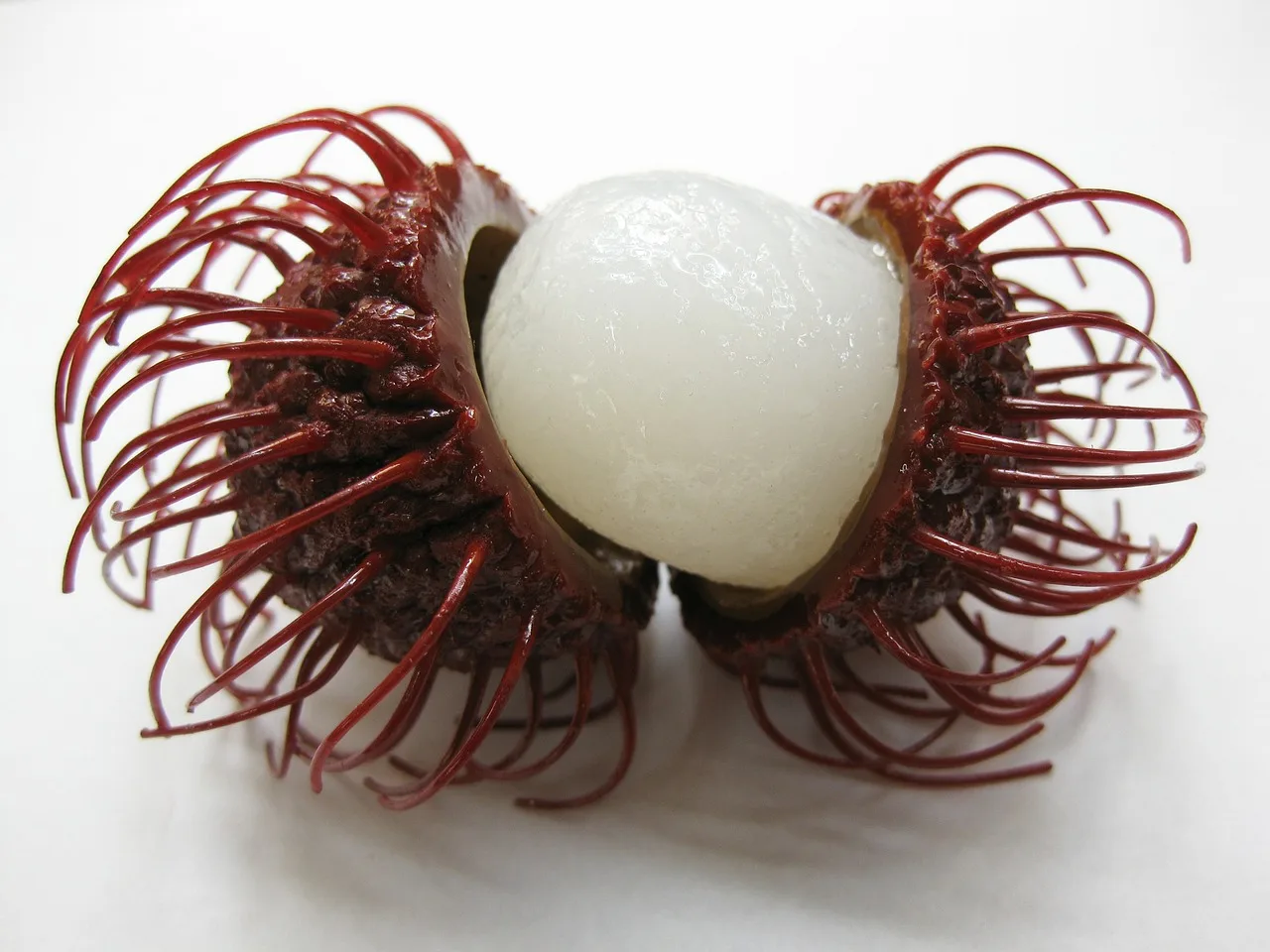 rambutan-fruit-19699_1280