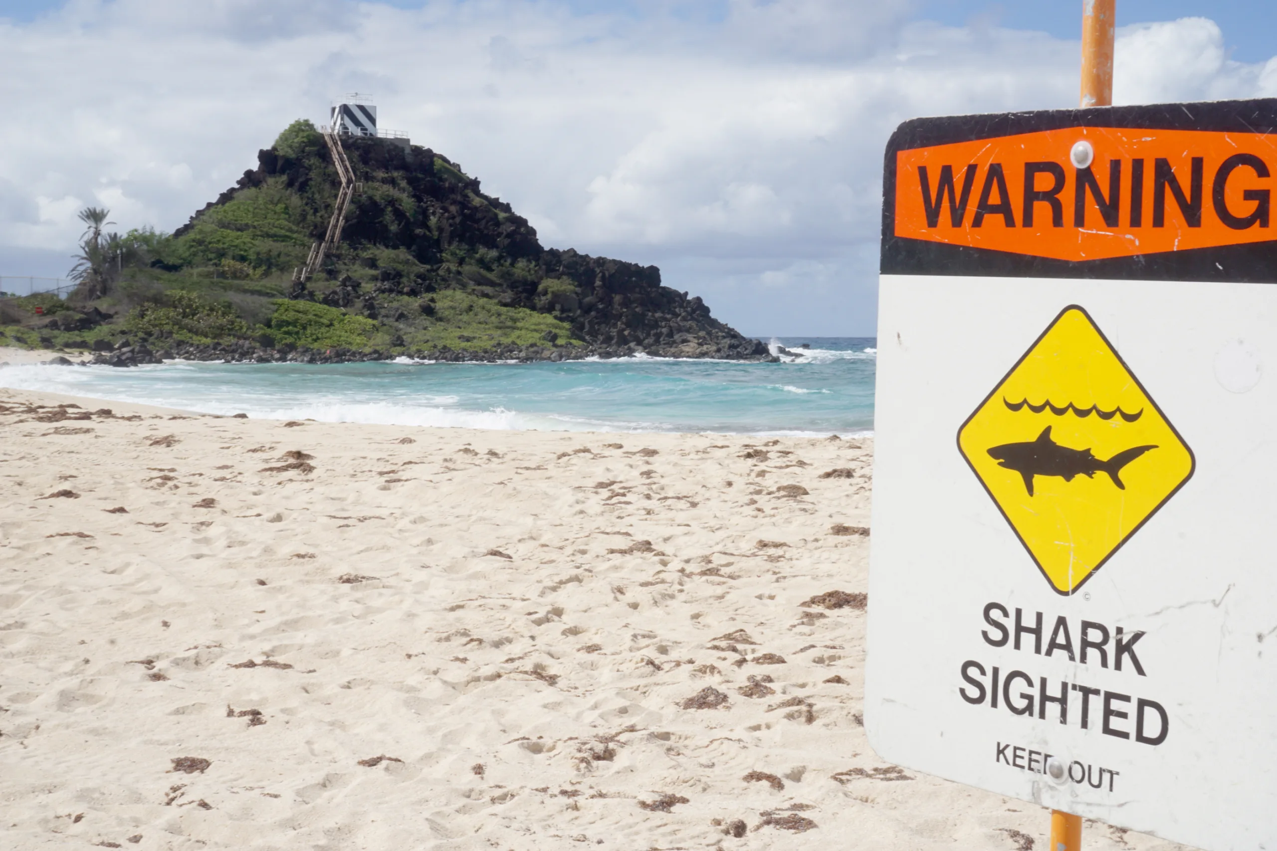 Lifeguards at Pyramid Rock Beach post a sign warning about a shark sighting, June 17, 2015. All beach goers must stay out of the water for a 45-minute period after signs are posted. Signs remain up at the beach after the 45-minute period to warn future visitors of the earlier sighting. (U.S. Marine Corps photo by Christine Cabalo)