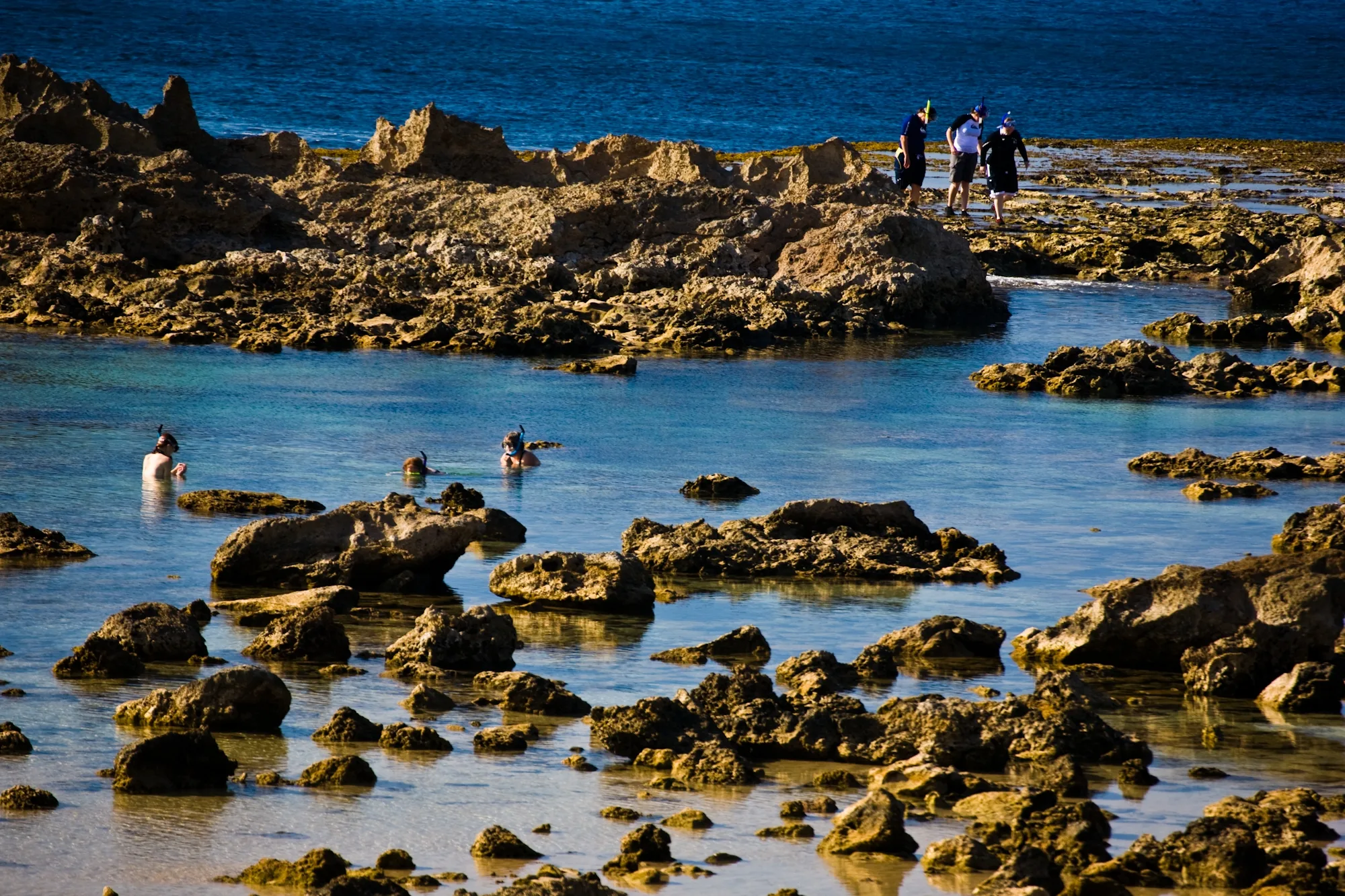sharks-cove-snorkeler