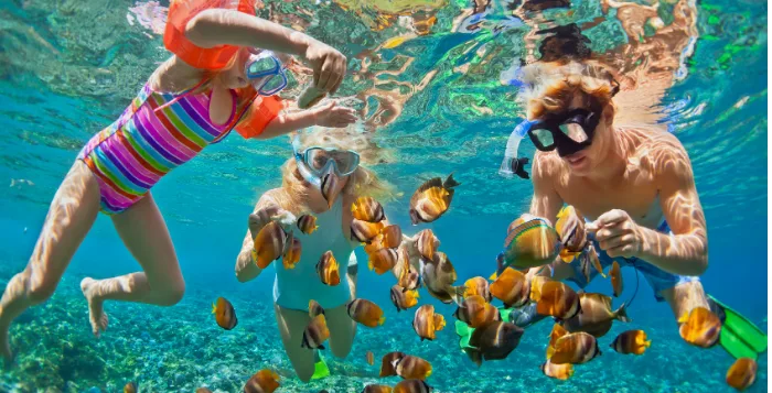 snorkeling