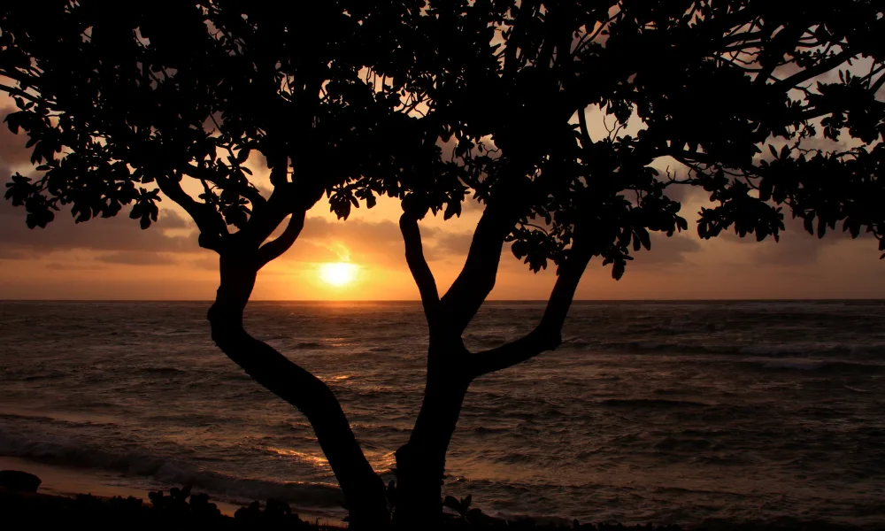 things-to-do-in-lahaina-maui