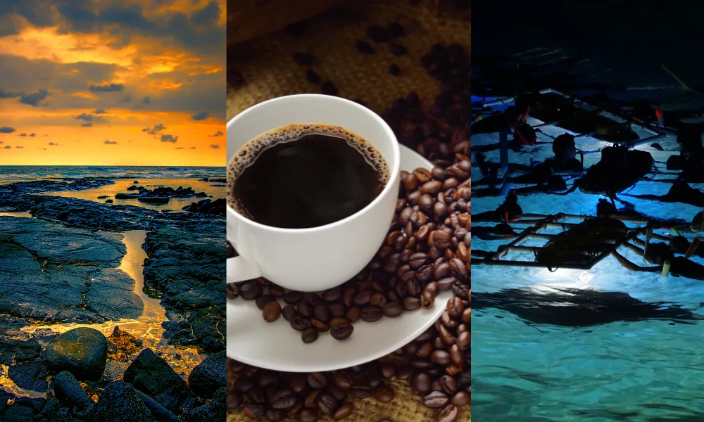 top 10 things to do in kona, hawaii top 10 things to do in kona, hawaii