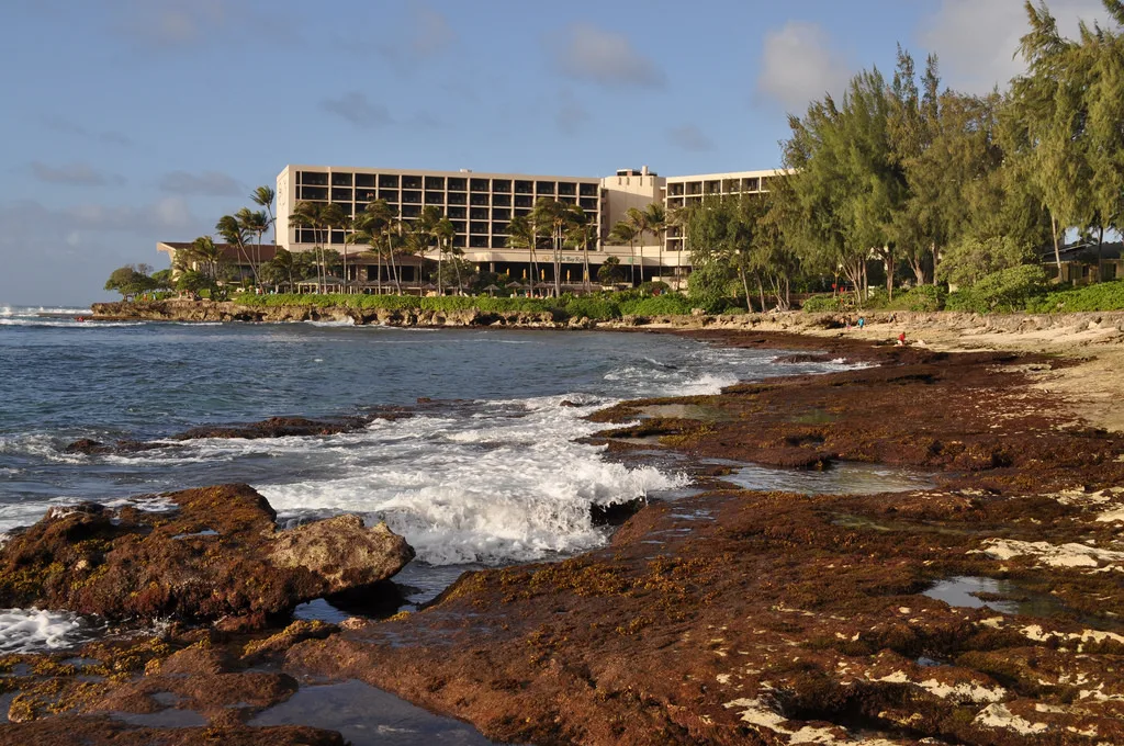 Turtle Bay Resort is a great place for a  Hawaiian Wedding Vow Renewal Ceremony 