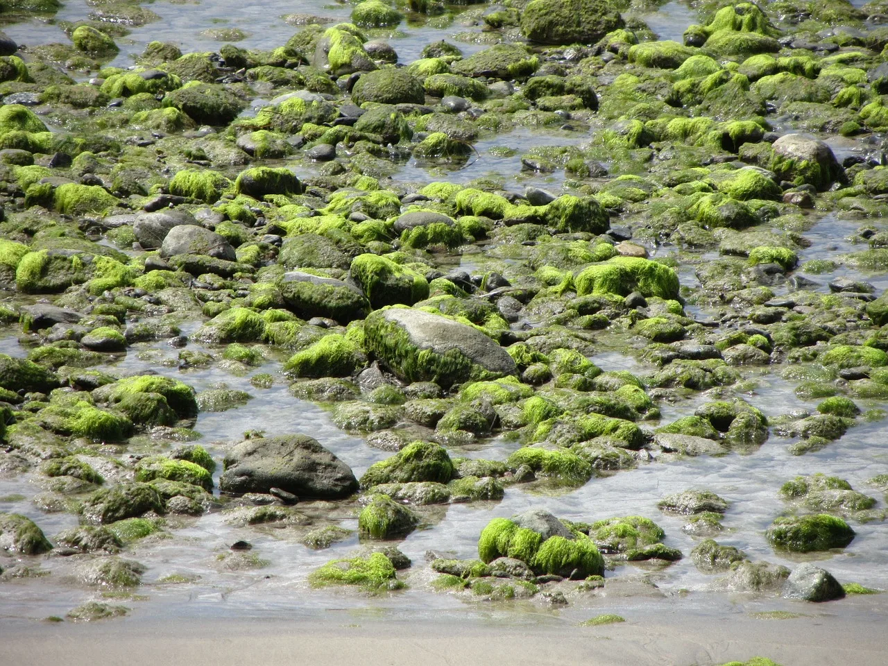 water-123763_1280 water-123763_1280