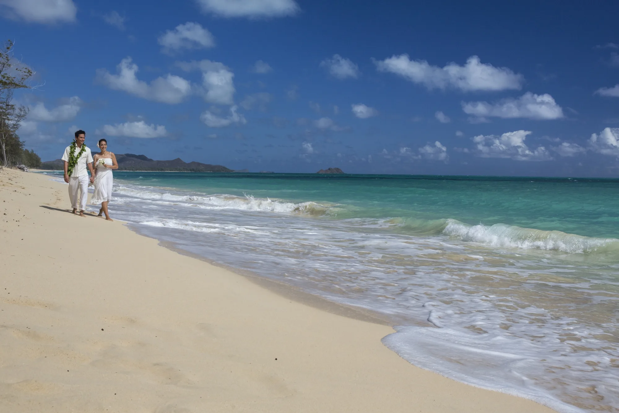 waves-east-shore