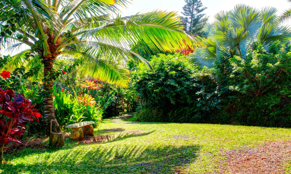 things to do in hawaii in january