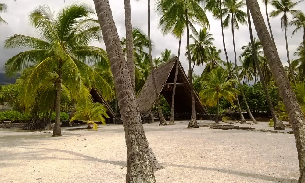 things to do in captain cook hawaii