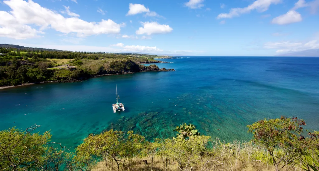 Honolua Bay on Maui with clear blue water and reef visible beneath the surface