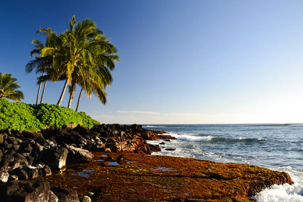 Lawai Beach is a small south shore cove on Kauai known for calm conditions and rich reef life.