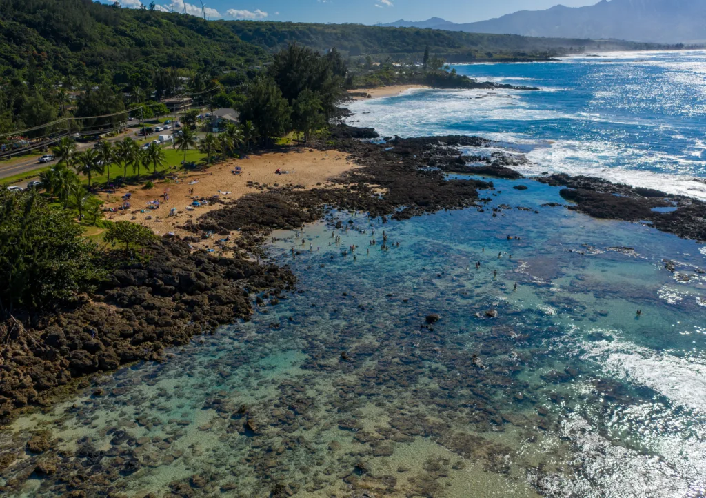 Shark’s Cove on Oahu’s North Shore with snorkelers exploring the rocky reef