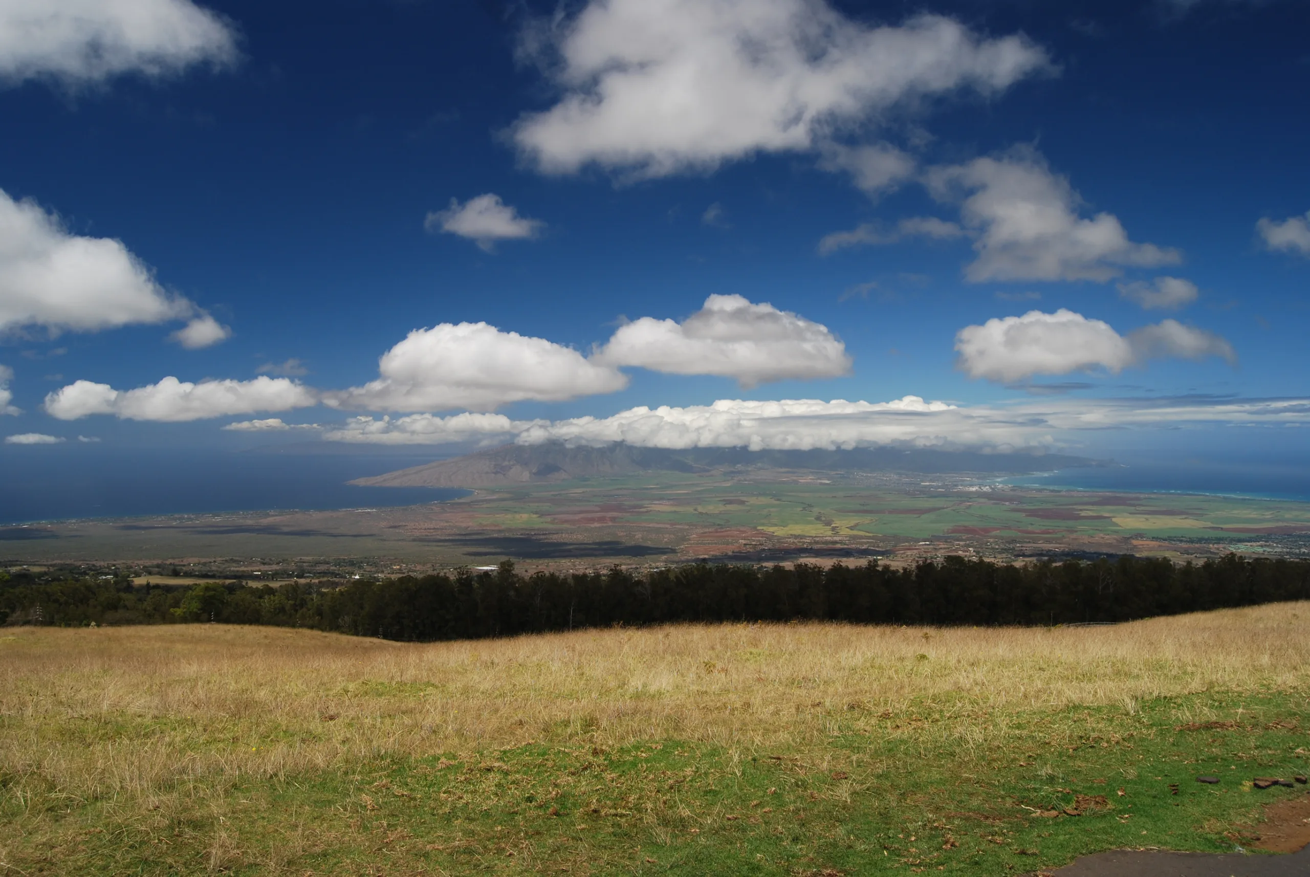 upcountry-maui